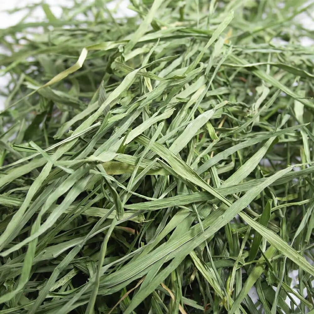 Amazon | うさぎ 牧草 令和5年産 国産 旬のやわらか 茎なしオーツヘイ