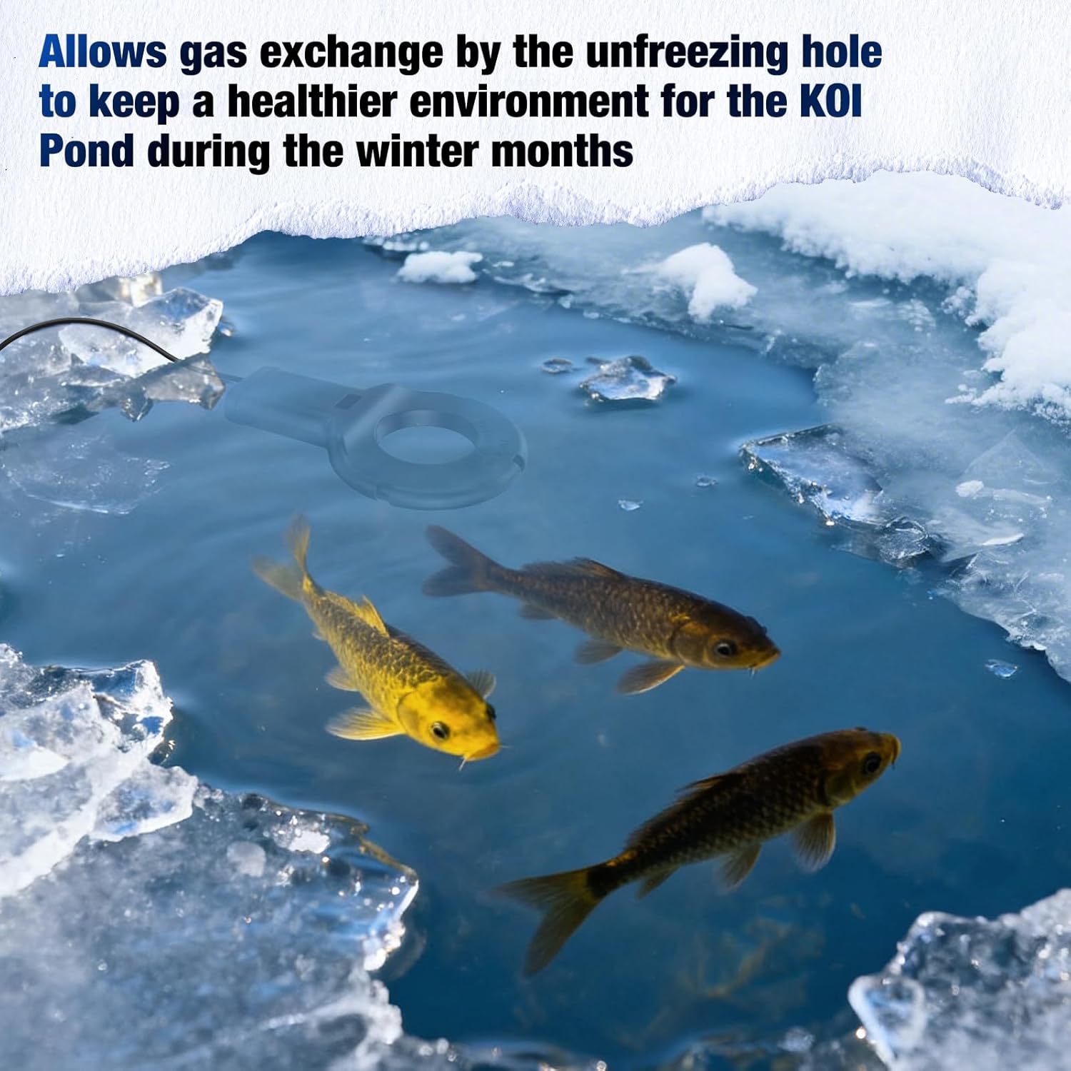 500W Utility De-Icer with Thermostat, Durable Cast Aluminum Submersible Water Heater for Bird Bath, Chicken Water, Livestock Tank, 9.8ft Cord, Black