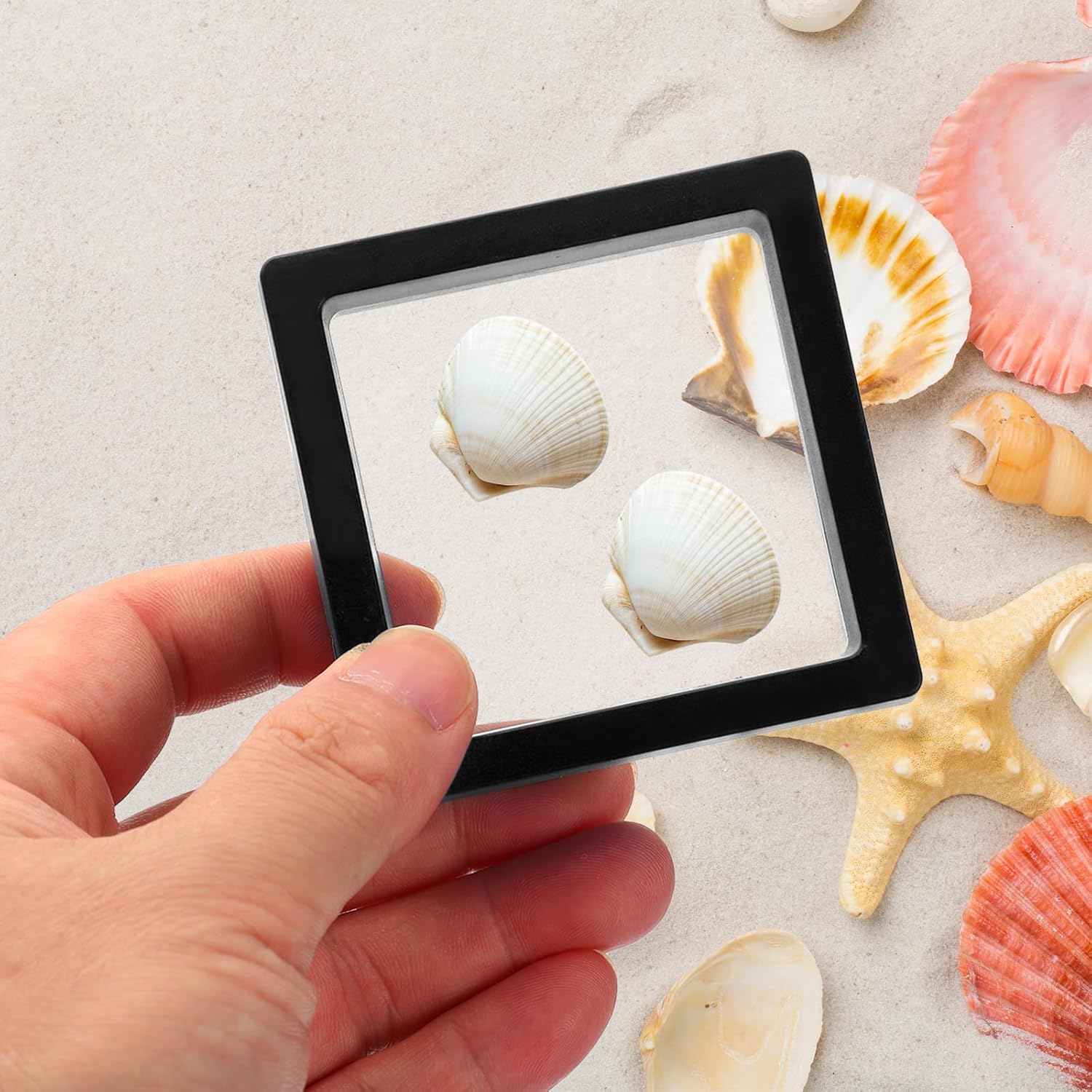 PATIKIL 3Dフローティングフレームディスプレイスタンド、12パック 3.5x3.5インチ チャレンジコインディスプレイスタン