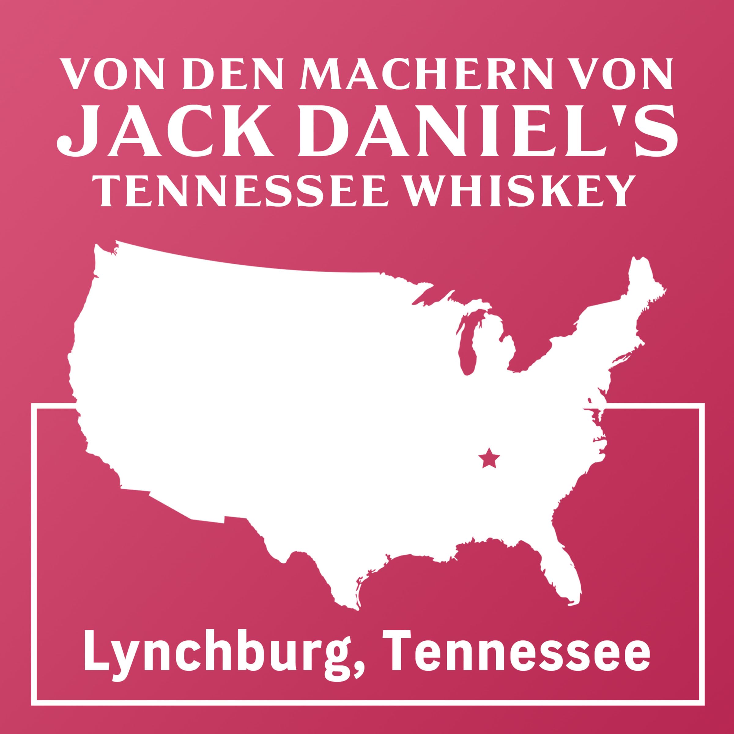 Jack Daniel's Jack & Berry - Tennessee Whiskey - Whiskey Noten treffen auf bitter-süße Beerenlimonade - 12x 0.33l / 10% Vol.