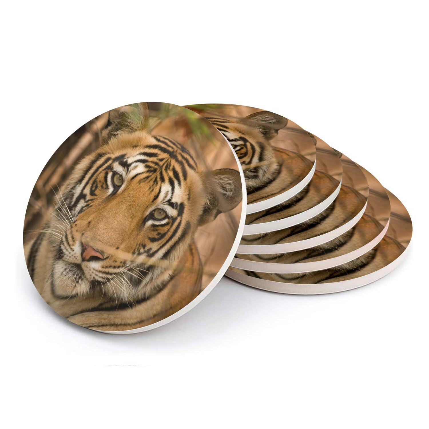 Sous verre ronds en céramique lot de 6 motif tigre au repos 108mm