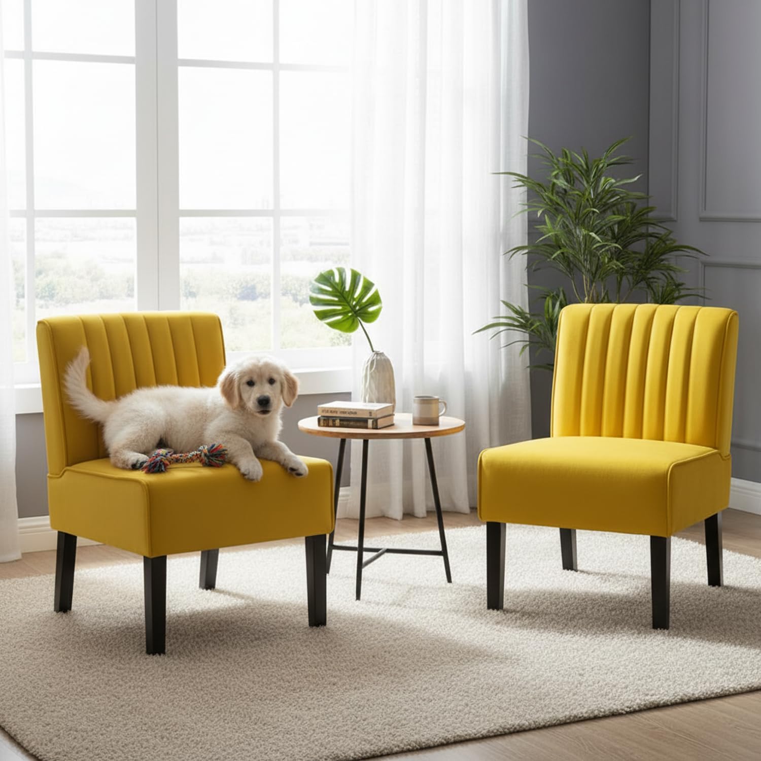 Reese Mid Century Modern Accent Chairs Set of 2 with Minimalist Design, Elegant Velvet Upholstery and Solid Wood Legs, Ideal for Living Room or Bedroom, Yellow