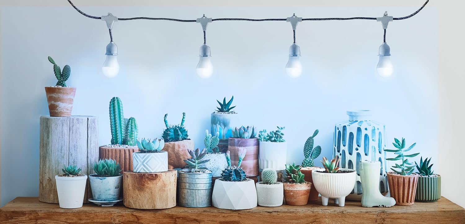 Miracle LED SmokePhonics Parsley Starter, Braided 4-Socket Grow Light Kit Blue Spectrum(2-Pack)