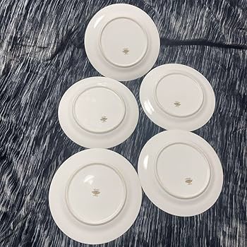 Amazon.co.jp: 本日限定 ノリタケ 25cmプレート 5枚