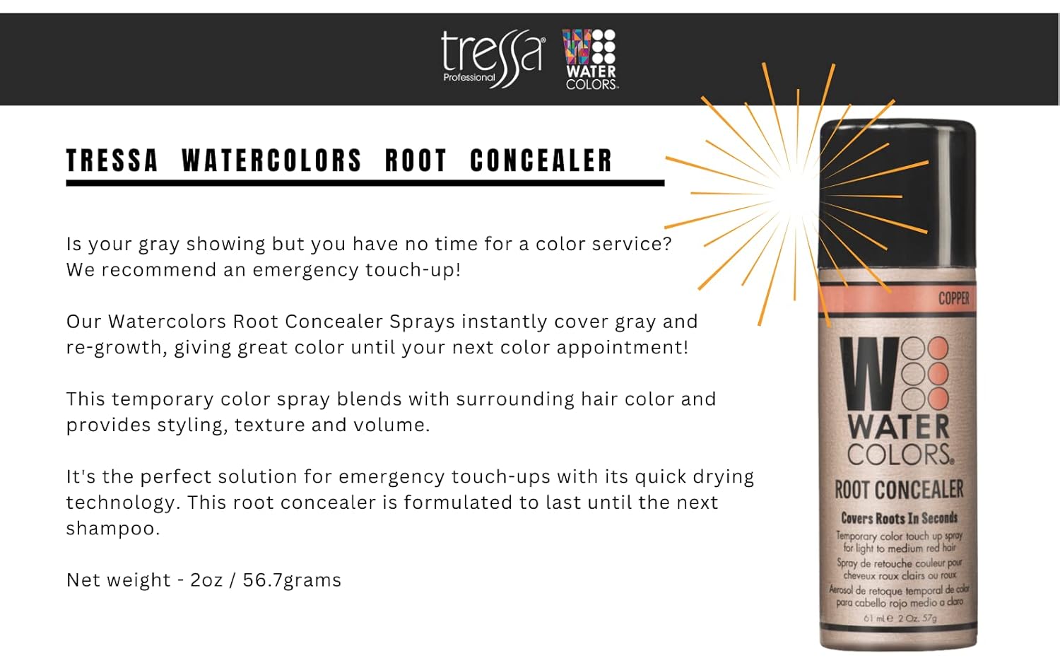 ROOT CONCEALER TOUCHUP, TEXTURE, VOLUME SPRAY. Professional Salon