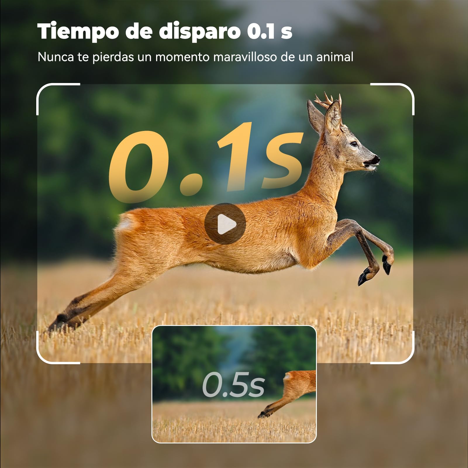 DEATTI 4G LTE Cámara de Caza 2.7K con Tarjeta SIM, Solar Camara Fototrampeo con App, Detección PIR por Infrarrojos Invisible, Cámara Caza Nocturna con 8000mAh Batería, Tarjeta TF de 64 GB IP66
