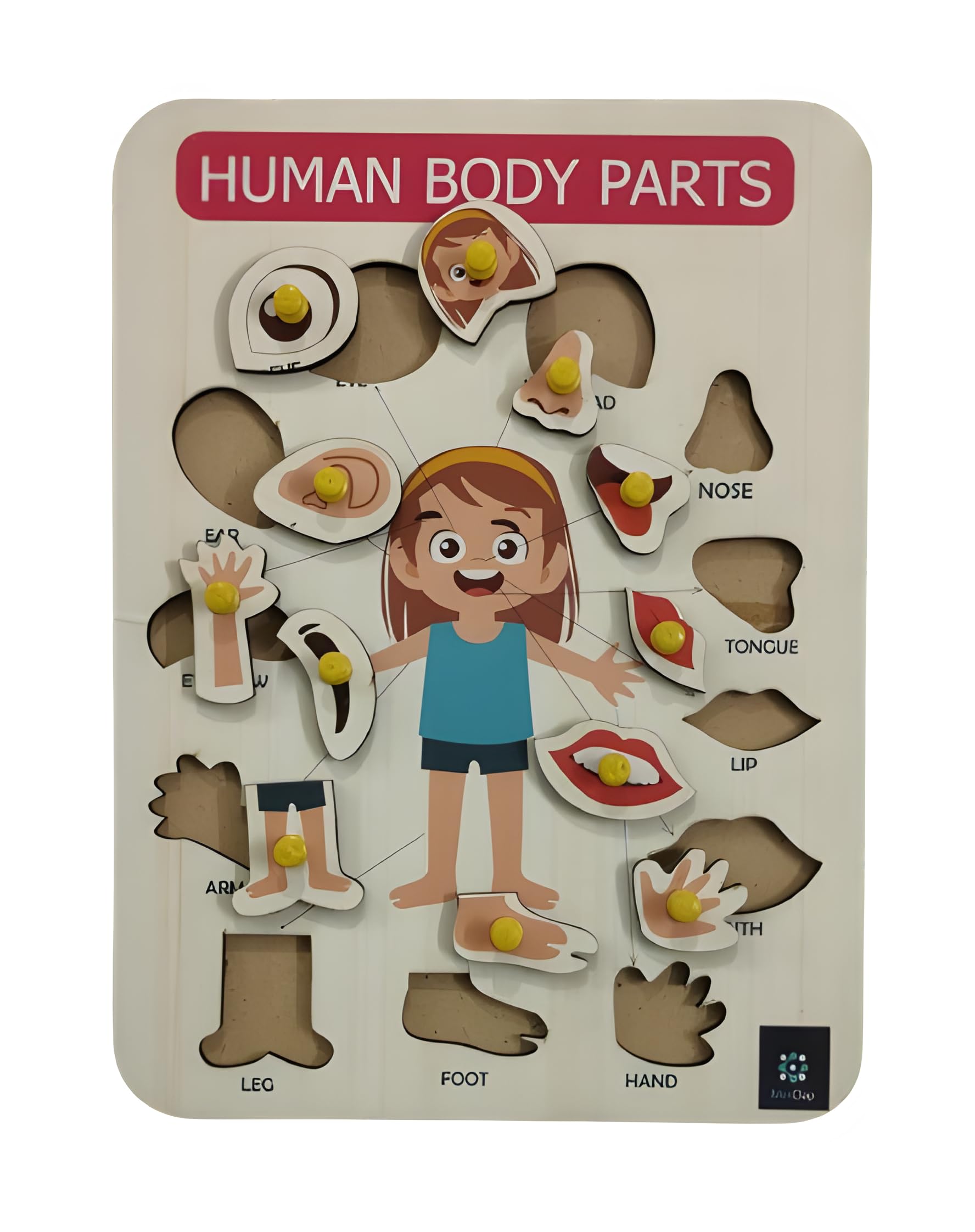 MetClap Body Part Puzzle Kids Wooden Toys for Kids 3 + Jigsaw Puzzles for Adults Baby Learning Toys Educational Toys for 2 Board Game (B0CTHB9585) Amazon Price History, Amazon Price Tracker
