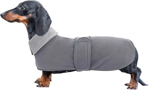 Geyecete - Chaqueta para perro, ideal para perros salchichas con forro de felpa acolchado y cuello alto, traje de nieve para perro con bandas