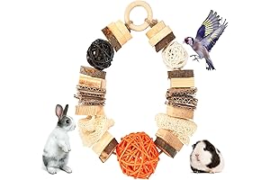 Halloween Hanging Chew Toys for Guinea Pigs: Savory Wood for Teeth Grinding!