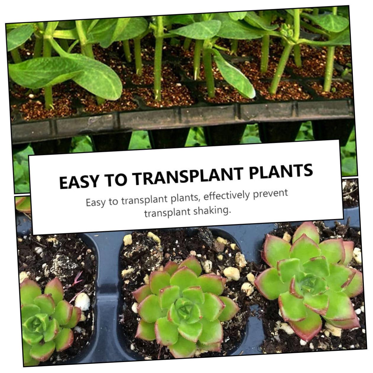 HEMOTON Vassoio Germinazione 200 Celle Nero in Plastica Riciclata 5 Pezzi | Design a Fori Aperti, Bordi Lisci, per Semina Domestica, Adatto a Principianti