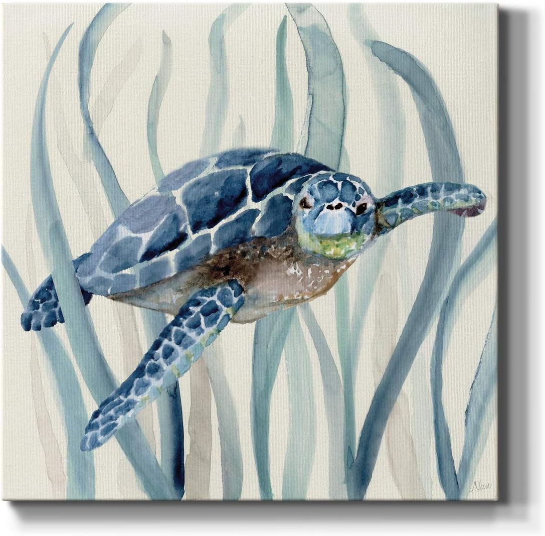 Renditions Gallery Turtle in Seagrass I Wall Art Premium Gallery Wrapped Canvas Decor Ready to Hang 16 in H x 16 in W Made in America Print AZS-WC07-17921-R-1616-MK