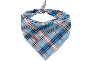 Lionet Paws Dog Bandana: Comfort and Style for Your Furry Friend