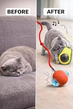 Busstier Otomatik Kuyruklu Kedi Topu ve Avokado Kedi Nanesi Oyuncağı Seti, İnteraktif Kedi Oyuncağı, Ev Kedileri İçin Oyun ve Aktivite Seti