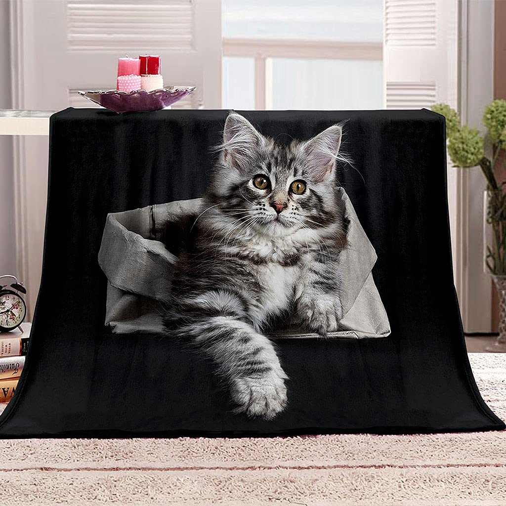 FANSU Fleece Blanket Throw Large, Kids Adults Microfiber Fluffy Soft Warm Lightweight 3D Flannel Blankets Bedspread for Bed Sofa Settees Couch Chair Office (Black cat,80x120cm)