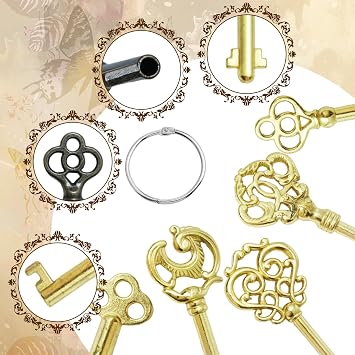 15 Pack Vintage Skeleton Keys with Key Ring, Antique Hollow Barrel Universal Keys, Old Style Decorative Kit for Furniture Dresser Cabinet Door (Random)