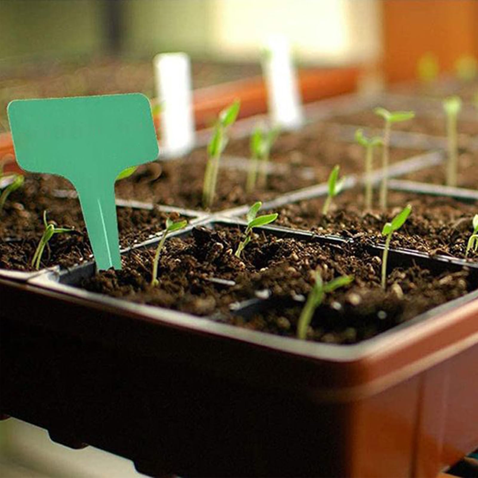 Bloc De Terreau Outils De Jardinage Manuels Ergonomique