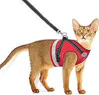 AVCCAVA Escape Proof Cat Harness & Leash Set - Adjustable Reflective Breathable Vest for Kittens & Small Puppies
