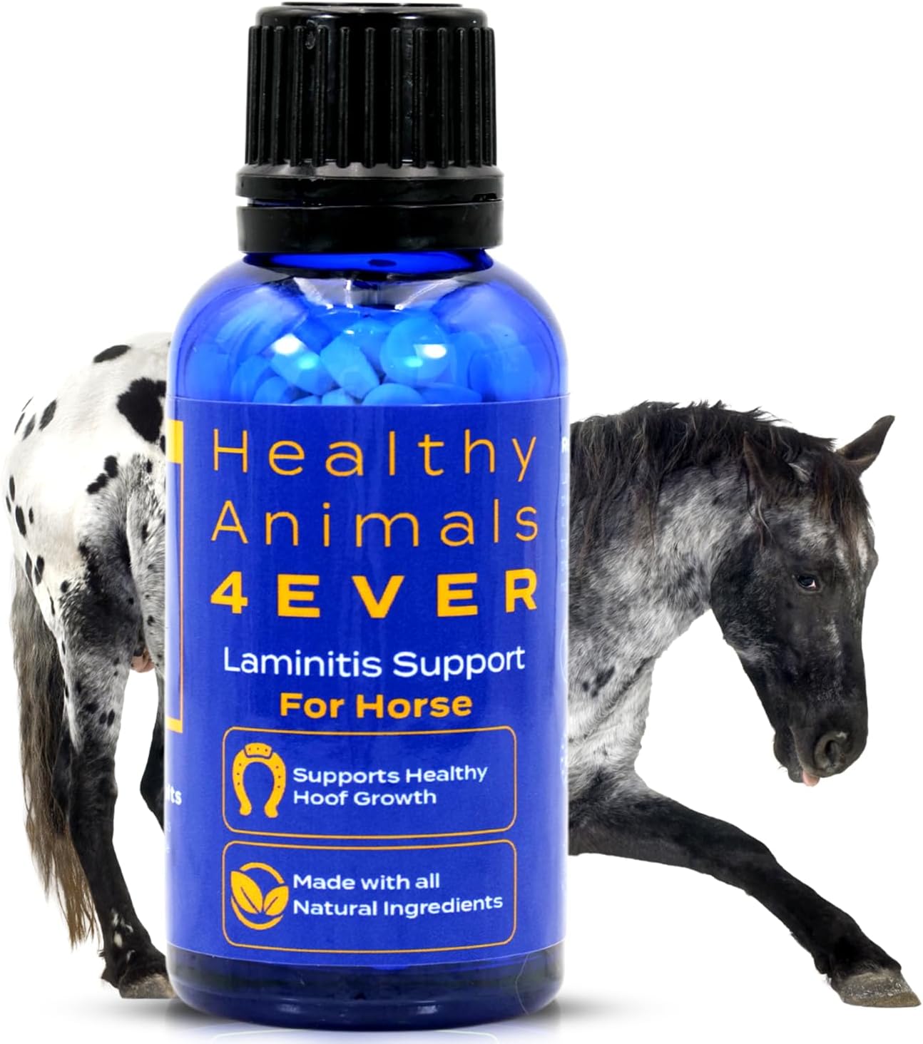 HealthyAnimals4Ever HA4E – Horse Laminitis Support – Hoof Care for Damaged & Injured Hooves – Highly Effective, Natural Homeopathic Supplement – Pellets, Barn Size