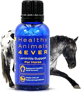 HealthyAnimals4Ever HA4E - Horse Laminitis Support - Hoof Care for Damaged & Injured Hooves - Highly Effective, Natural Homeopathic Supplement - Pellets, Barn Size