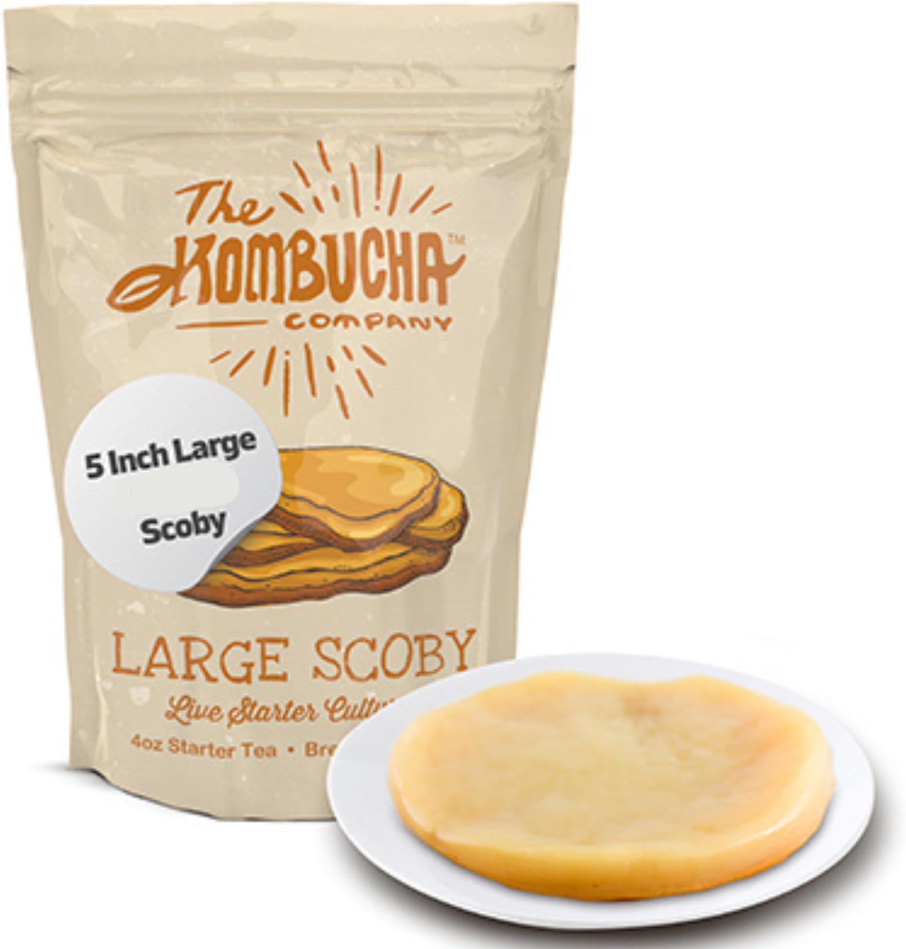 The Kombucha Company Kombucha SCOBY | Large Size | 5-Inch SCOBY Mother | Includes 4 Oz Starter Liquid