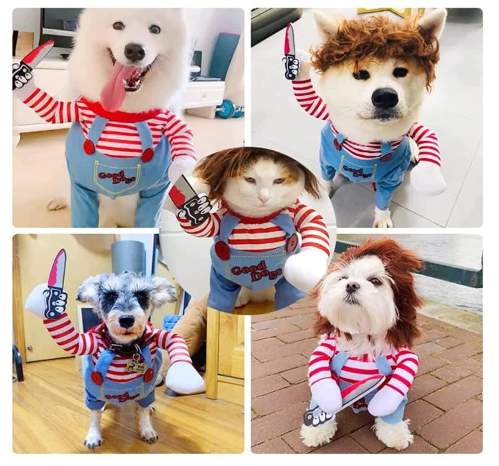 Amazon | チャッキー 変装 犬 ハロウィン 犬 服 フレブル フレンチ