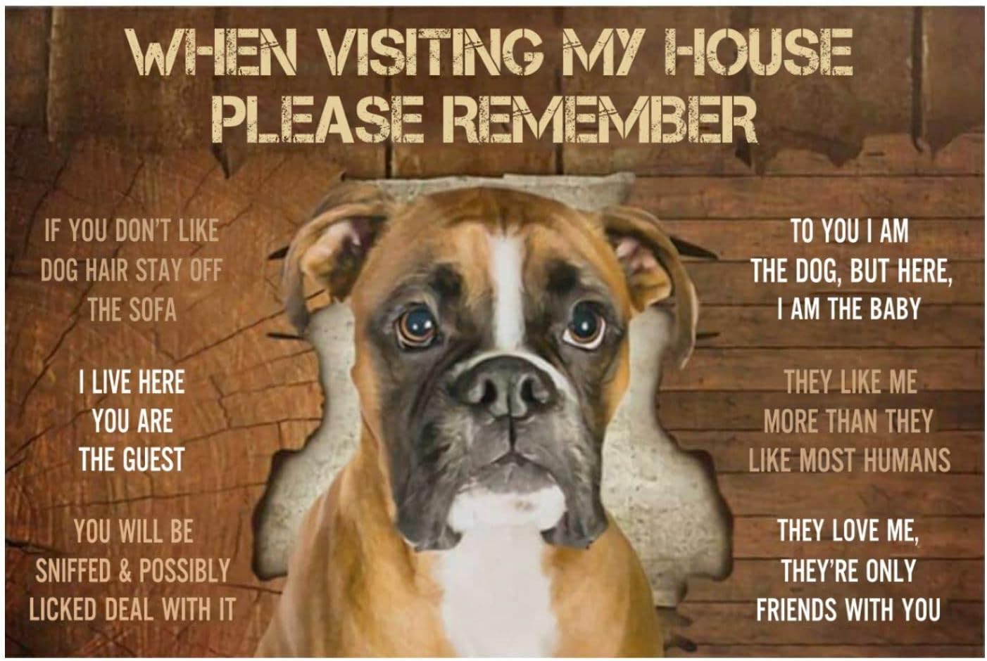 Boxer Visiting Gallery Dog House Rules Wall Poster Home