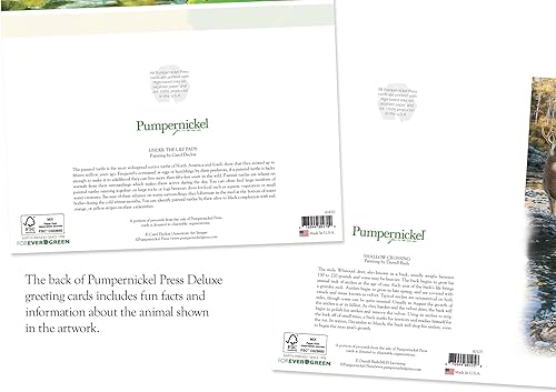 Miniatura 4 de Surtido de tarjetas de felicitación en relieve en caja, naturaleza escénica, 36 unidades