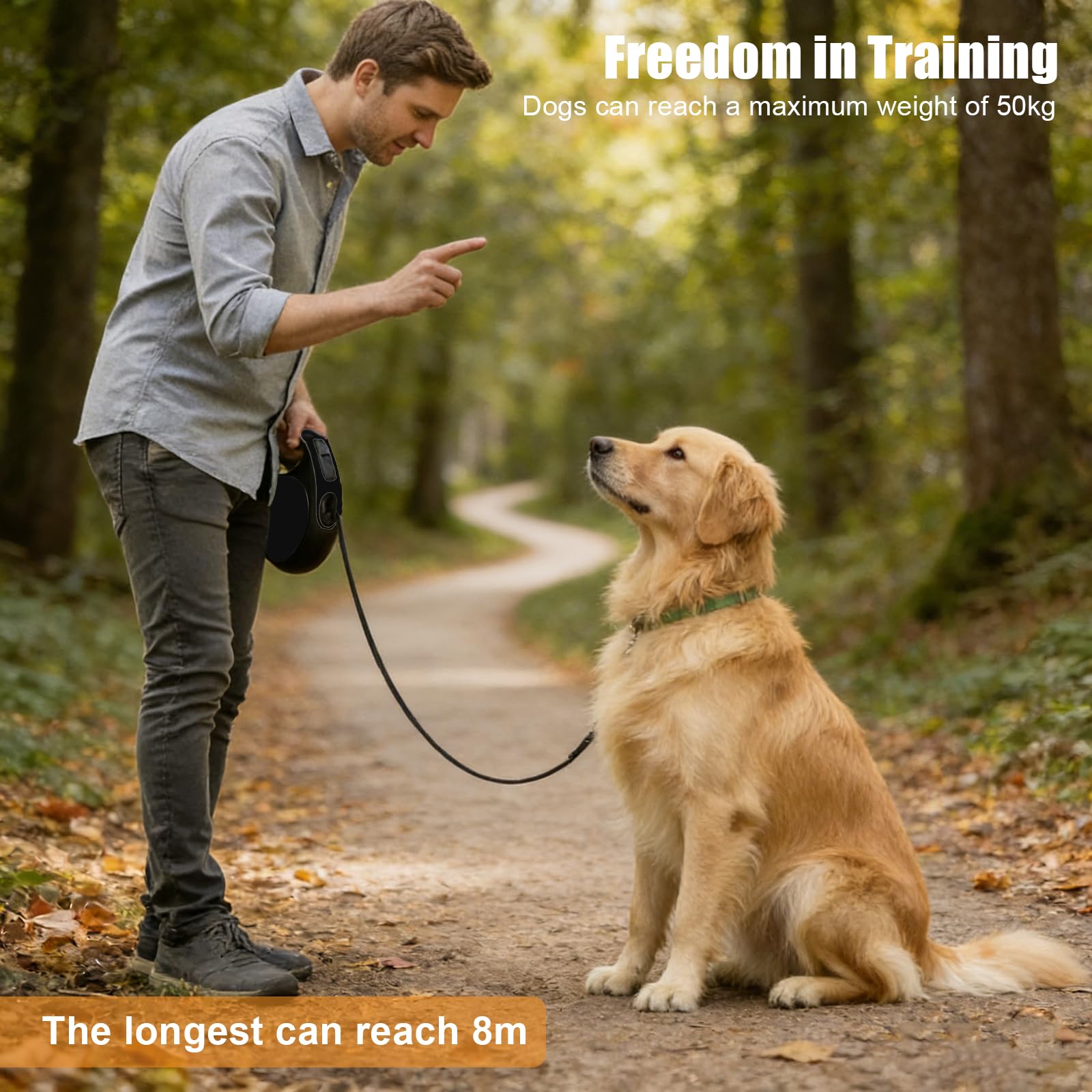 Laisse Chien Enrouleur 8m avec Bouton Stop, pour Chiens jusqu'à 50kg, pour Gros Chiens Chat, Système de Freinage, Poignée Anti-Dérapante et Anneau Anti-Enroulement, Laisse Rétractable