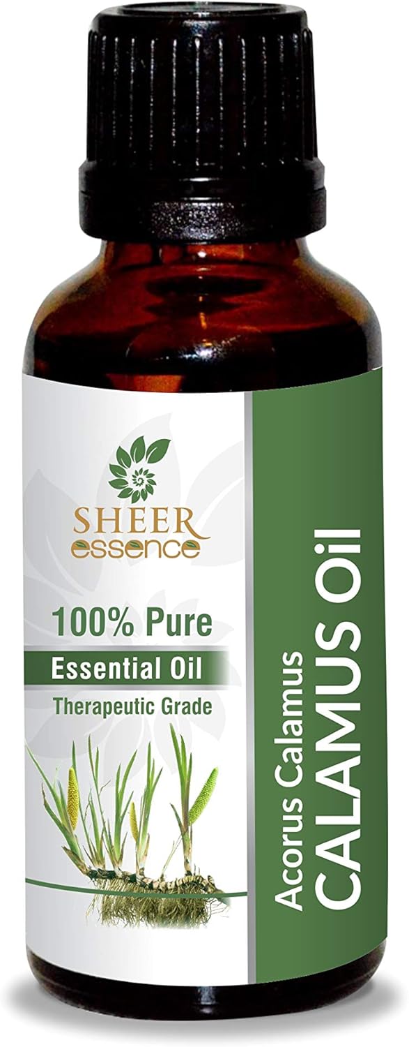 Calamus Root Oil -(Acorus Calamus)- Essential Oil 100% Pure Natural Undiluted Uncut Therapeutic Grade Oil 1.69 Fl.OZ