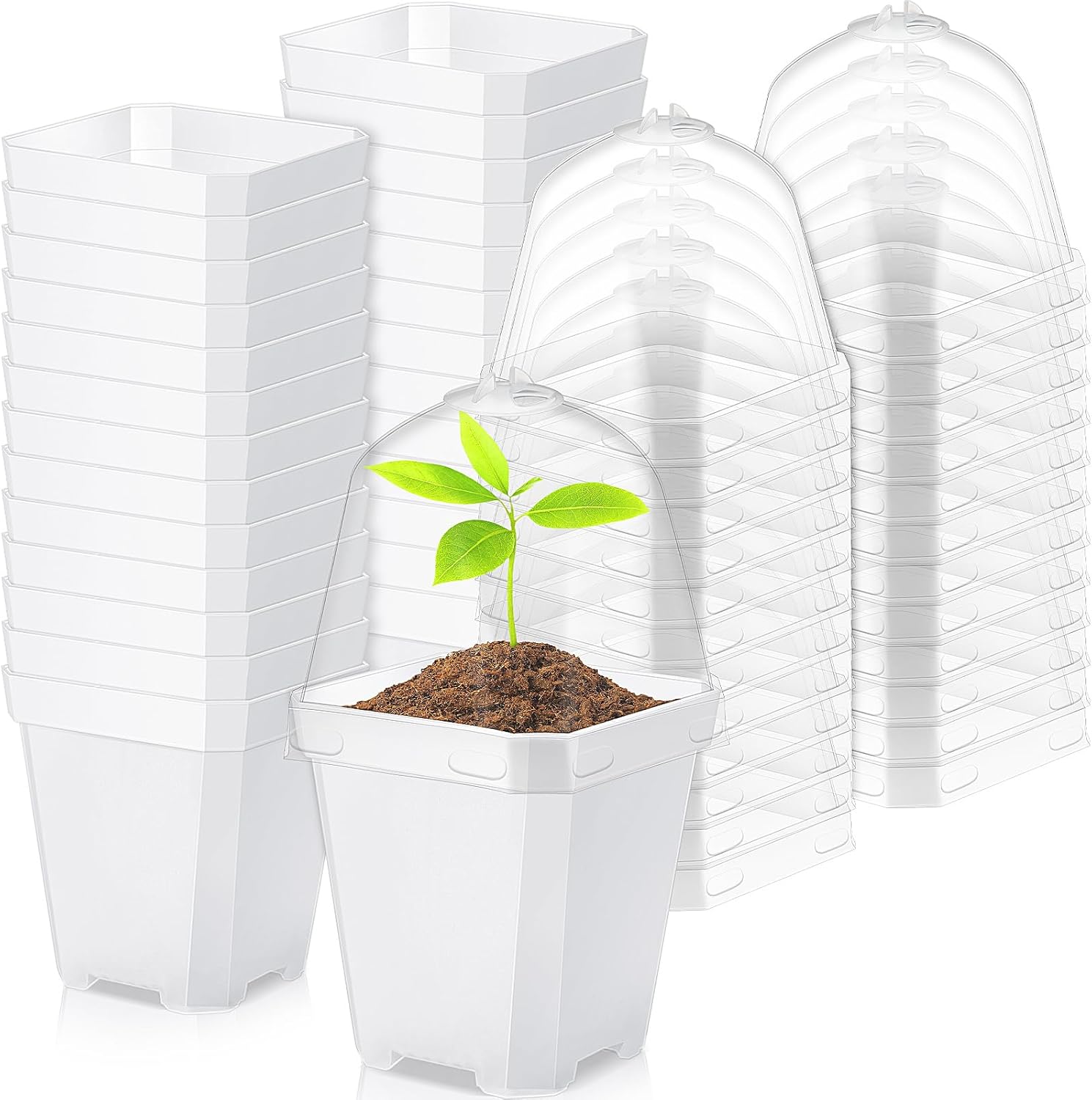 Layhit 120 Set Square Nursery Flower Pots 3 Inch Plant