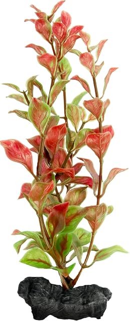 Foto 2 de 6 de Tetra DecoArt Plantastics Red Ludwigia S
