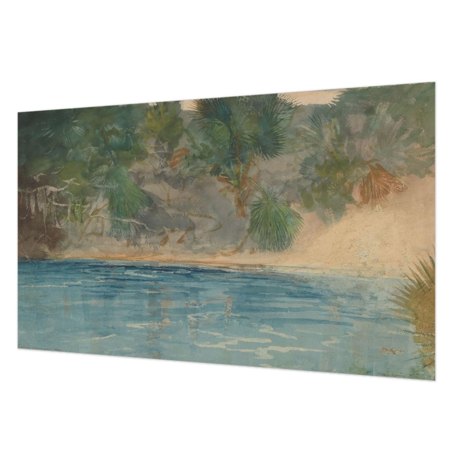 Tapisserie intissée xxl rivage tropical grand format 416 cm