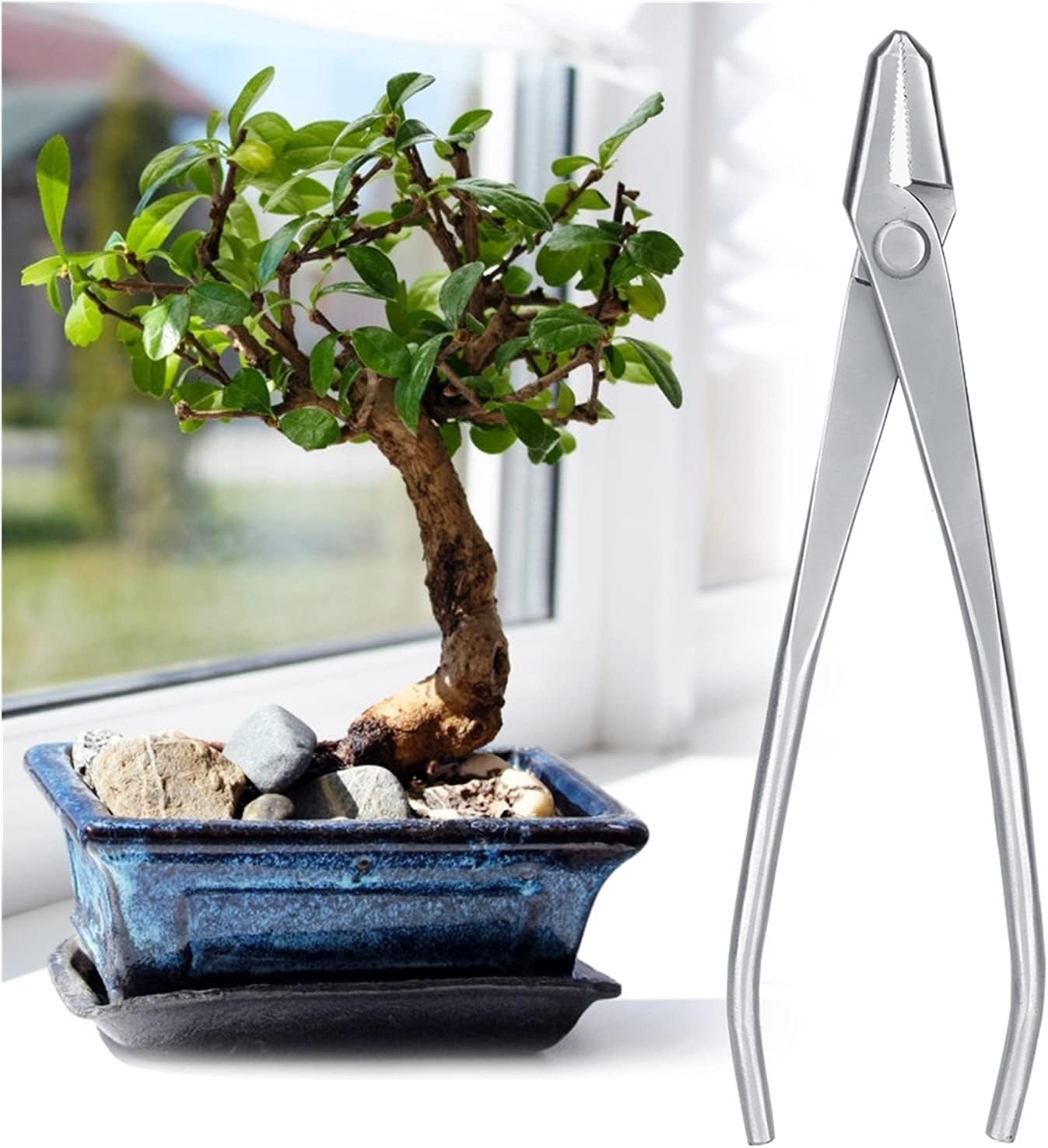 Pruning Tools for Bonsai 210mm Garden Care Stainless Steel Knob Cutter Bonsai Modeling Gardening Tools Tree Knob Grass Cutter Garden Hand Tool Pruning Tools