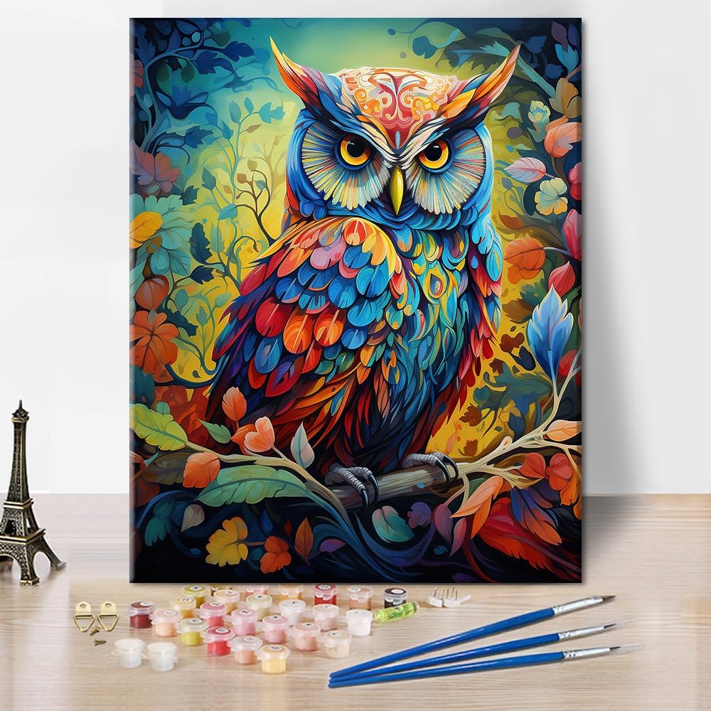 TUMOVO Colorful Owl DIY Paint by Number for Adults Beginner, Paint with Acrylic Animals Art Painting Kits, Canvas Gifts Crafts for Home Decor, Ideal Arts Gift for Kids16x20inch Frameless