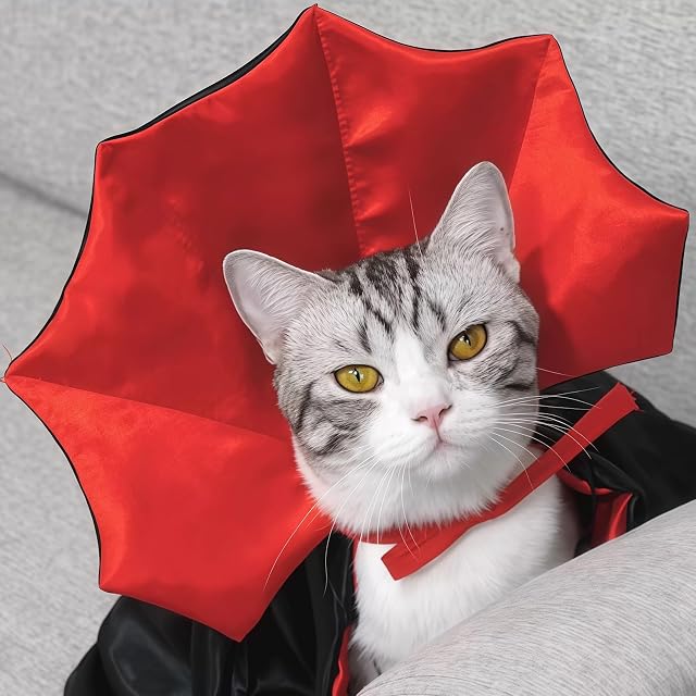 Foto 5 de 7 de LEKEFETO Disfraz de vampiro de Halloween para perros medianos