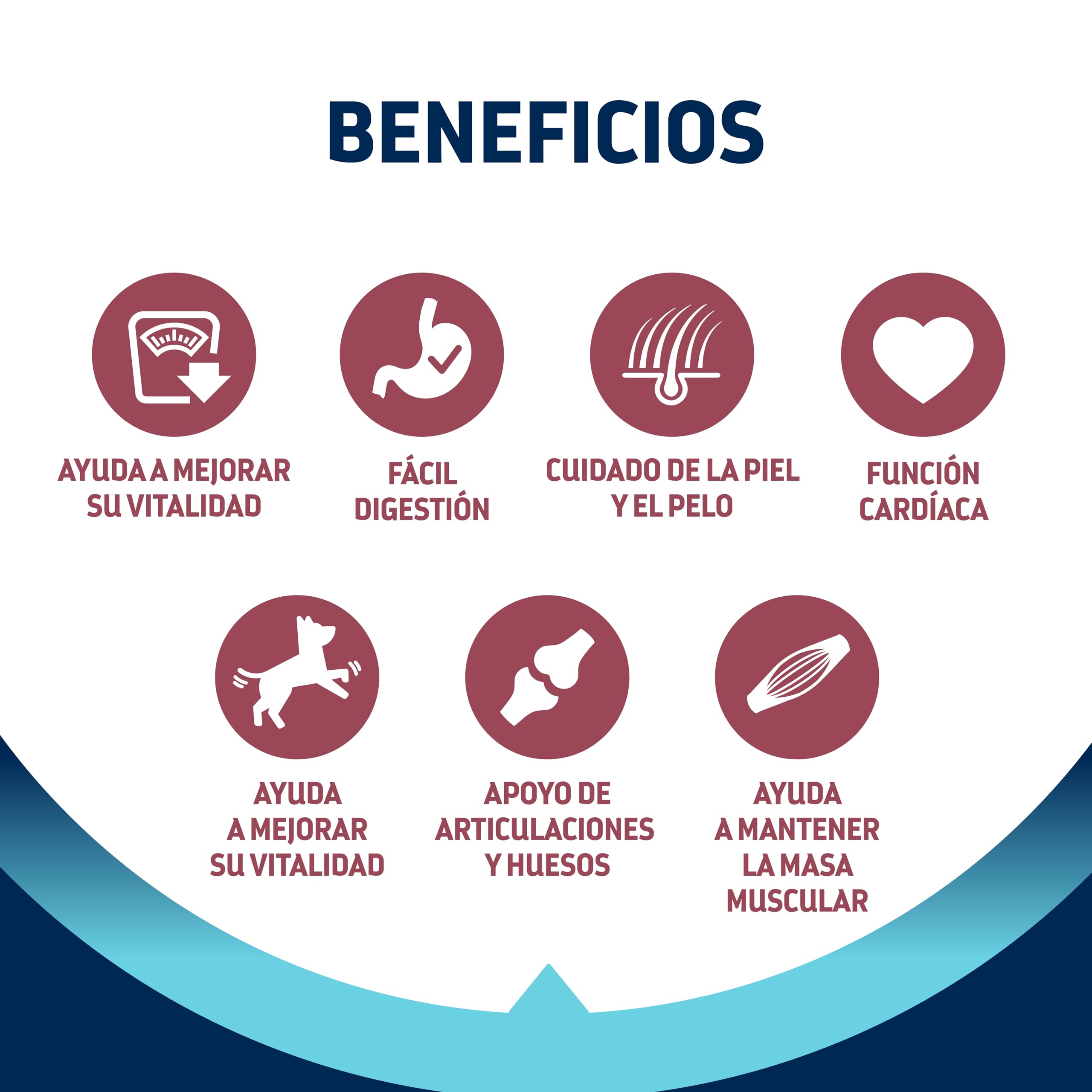 Advance Medium Senior, Pienso para Perros Senior (+7 años) de Razas Medianas con Pollo, 12kg