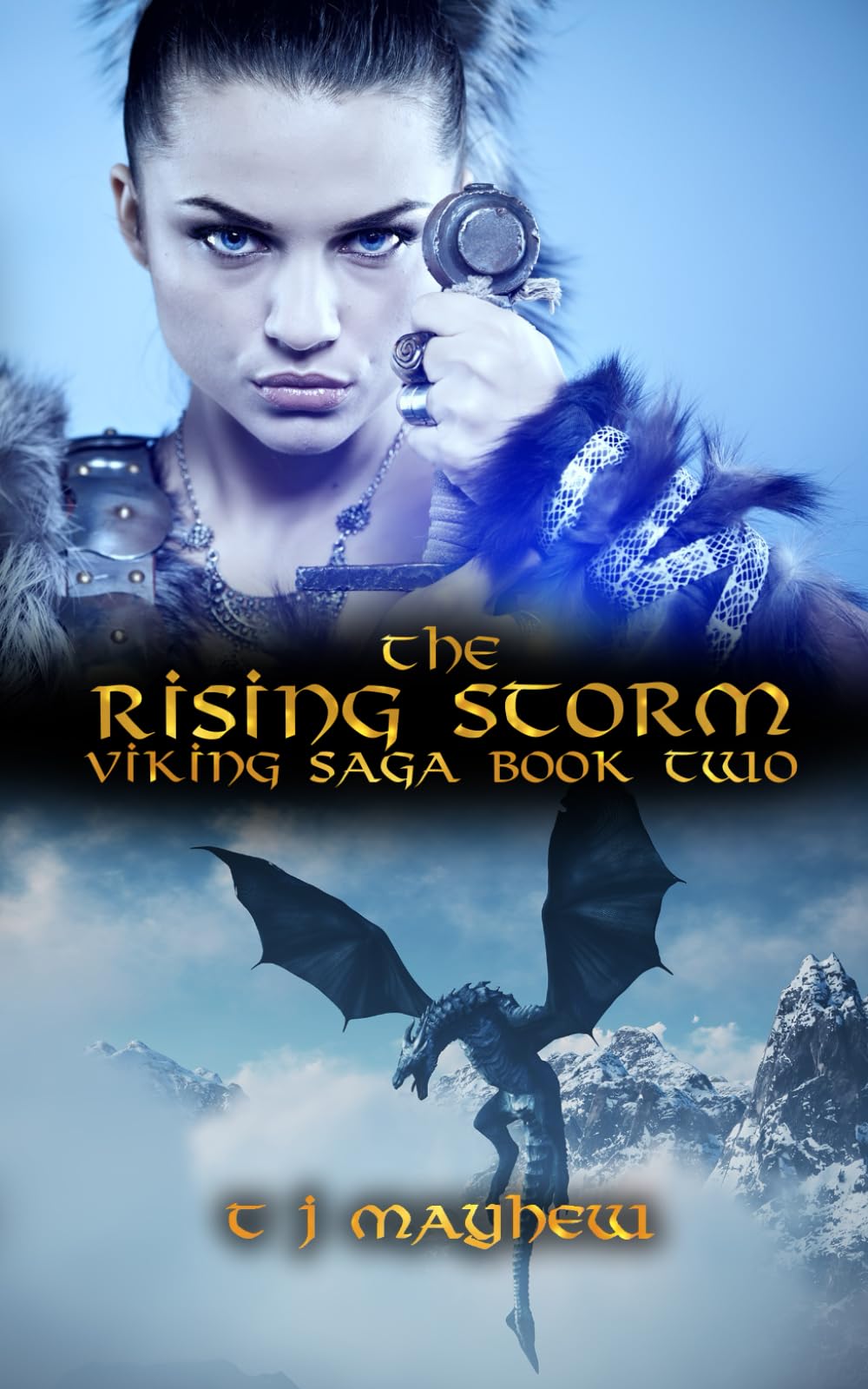 The Rising Storm: The Viking Saga Book 2