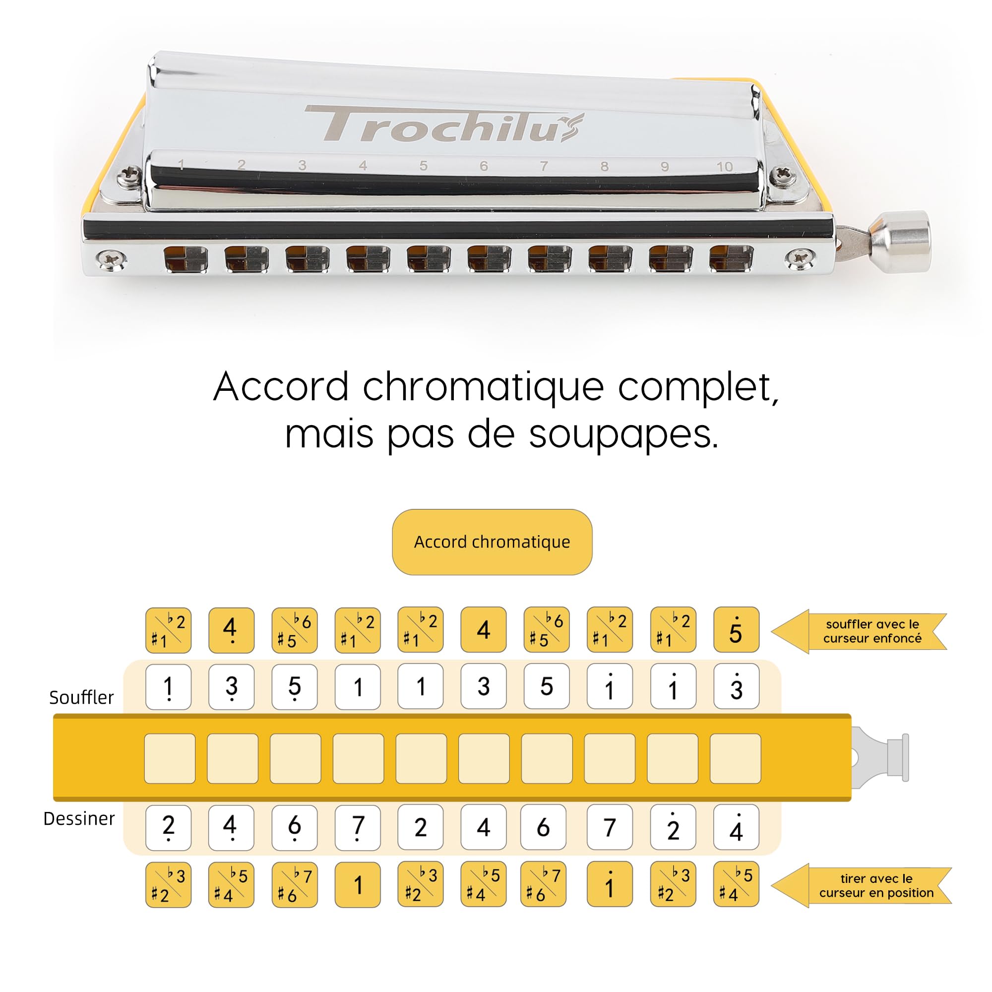 JDR Trochilus Harmonica Chromatique 10 Trous Chromonica Clé de C Armonica Harpe Sans Soufflet Orgue à Bouche avec Etui pour Adultes Professionnels Débutants (Chromatic/Solo Tuning Clé de C)