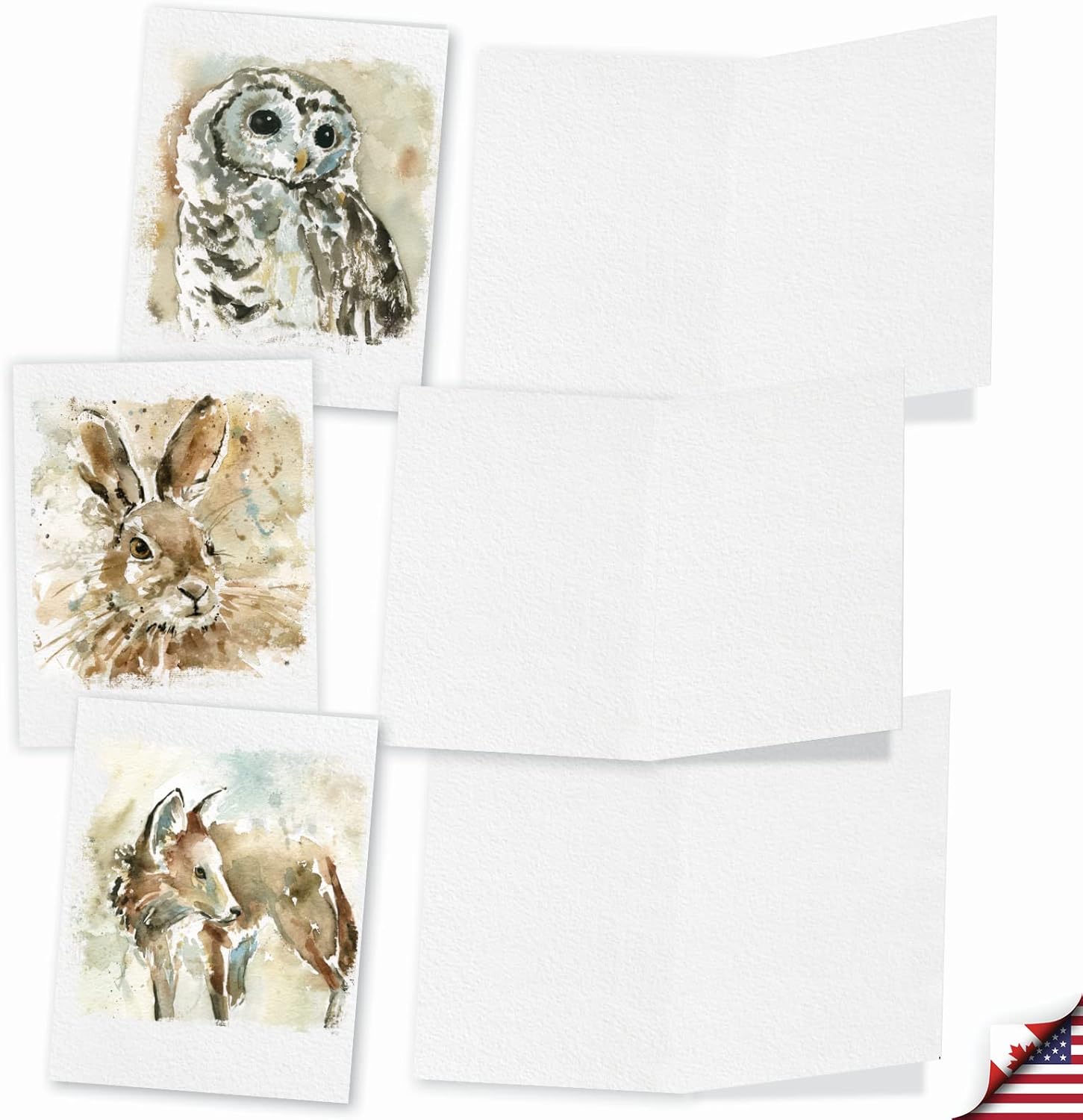 The Best Card Company - 10 Assorted Blank Notecards Box Set 4 x 5.12 Inch with Envelopes (10 Designs, 1 Each) Boxed Assorted Kid Cards of Pets - WATERCOLOR WILDLIFE M6629OCB