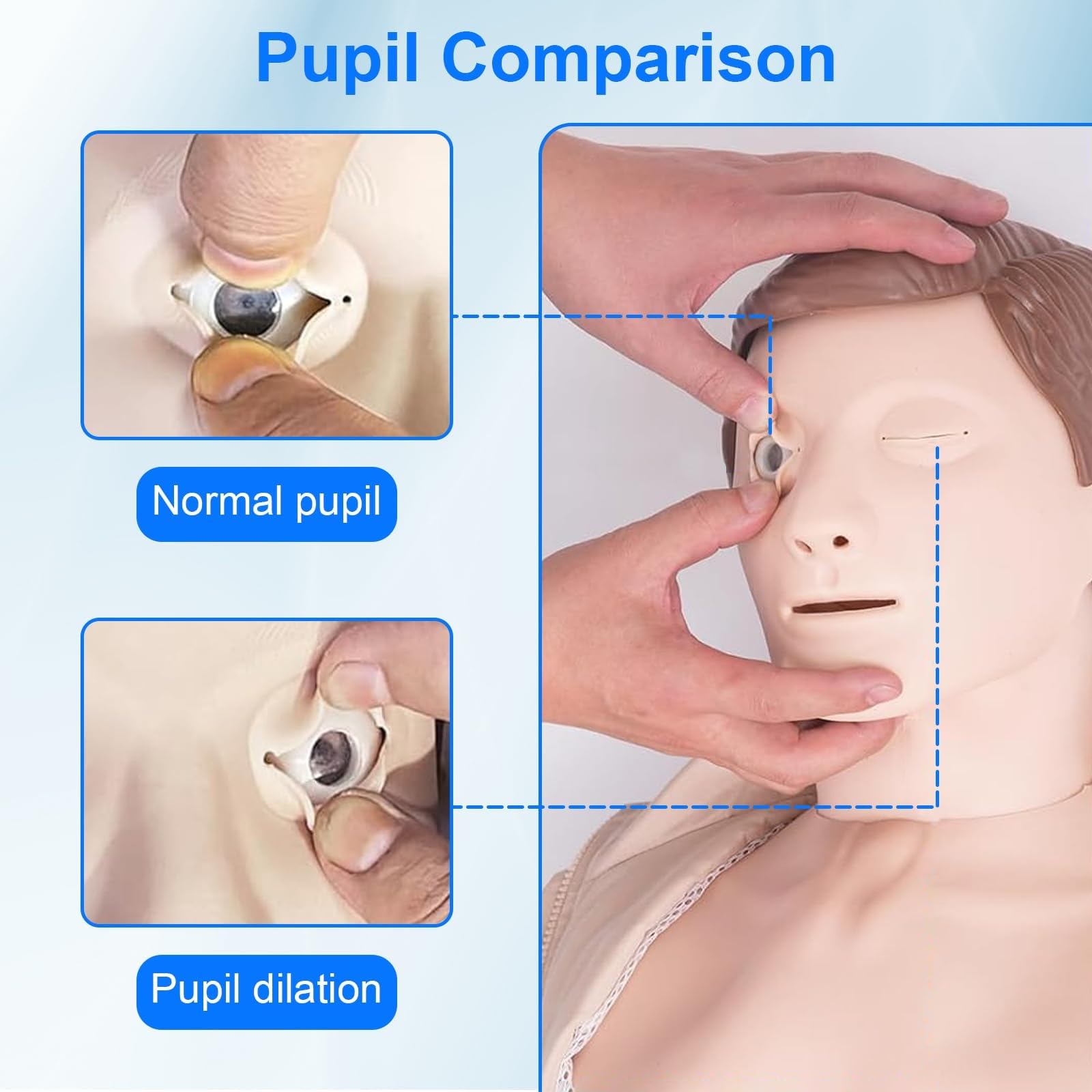 Kit de entrenamiento de RCP con maniquíes, maniquíes profesionales de RCP para adultos con piel mediana, accesorios médicos MCR, kit de entrenamiento de RCP para aulas o centros de investigación.