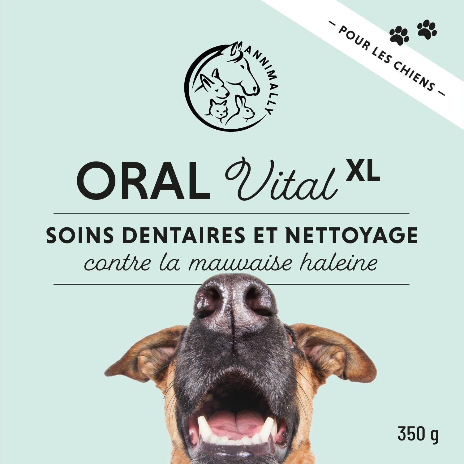 Poudre de soin dentaire pour chiens | Anti-tartre pour chiens - Nettoyage dentaire naturel et particulièrement efficace contre les dents jaunes, la mauvaise haleine et la plaque (350 g XL)