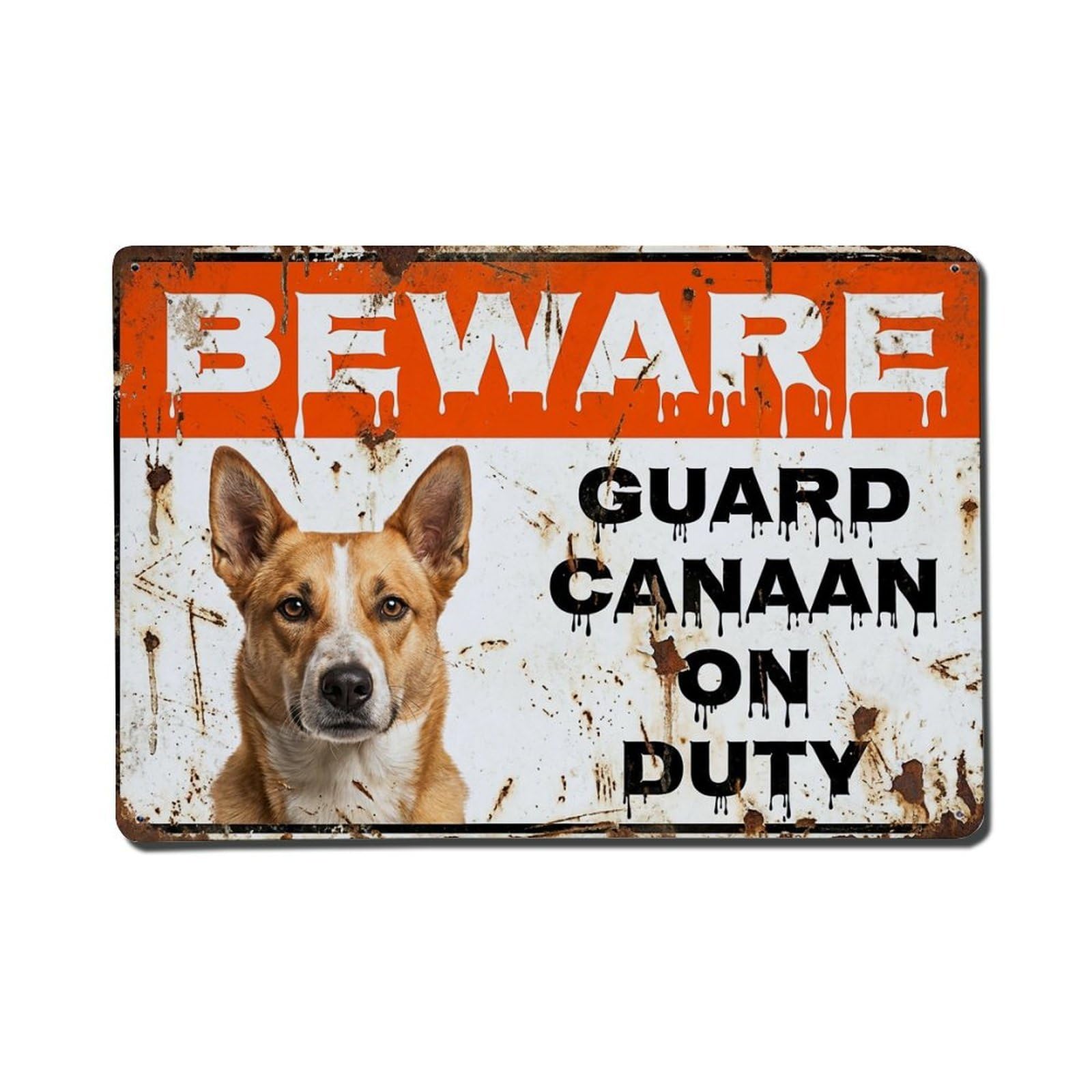 Vintage Funny Canaan Guard Beware of Dog Terrace Metal Tin Sign Plaque Wall Decor for Cafe, Club Bar, Office, Garden Metal Poster 8x12Inch