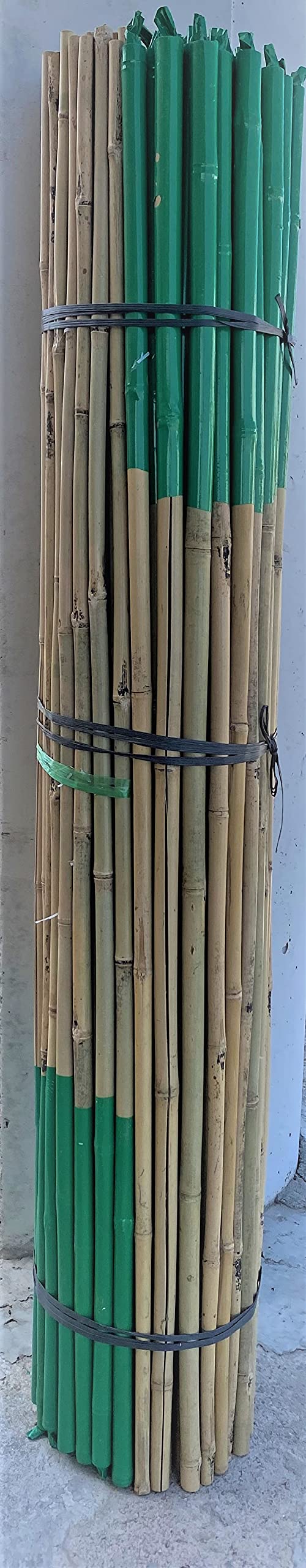 Tutor de bambú Chino plastificado de 1,5 m. de Altura, diametro 20-22. Pack de 50 Unidades. Tutores válidos para Todo Tipo de Plantas.