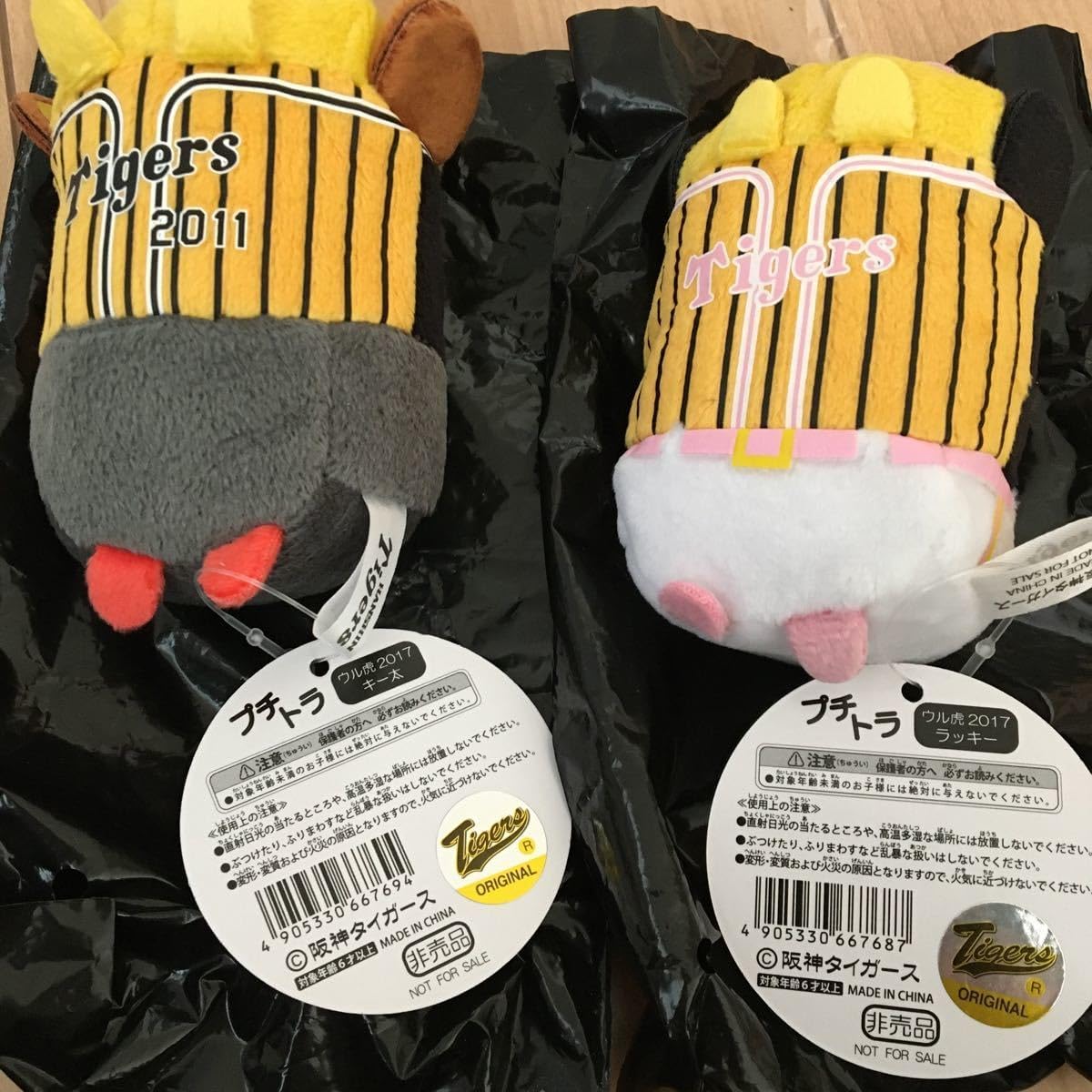 寒蘭-24554-5H4 285 豊雪×黒武者 開花 交配種 寒蘭専門店 東洋蘭