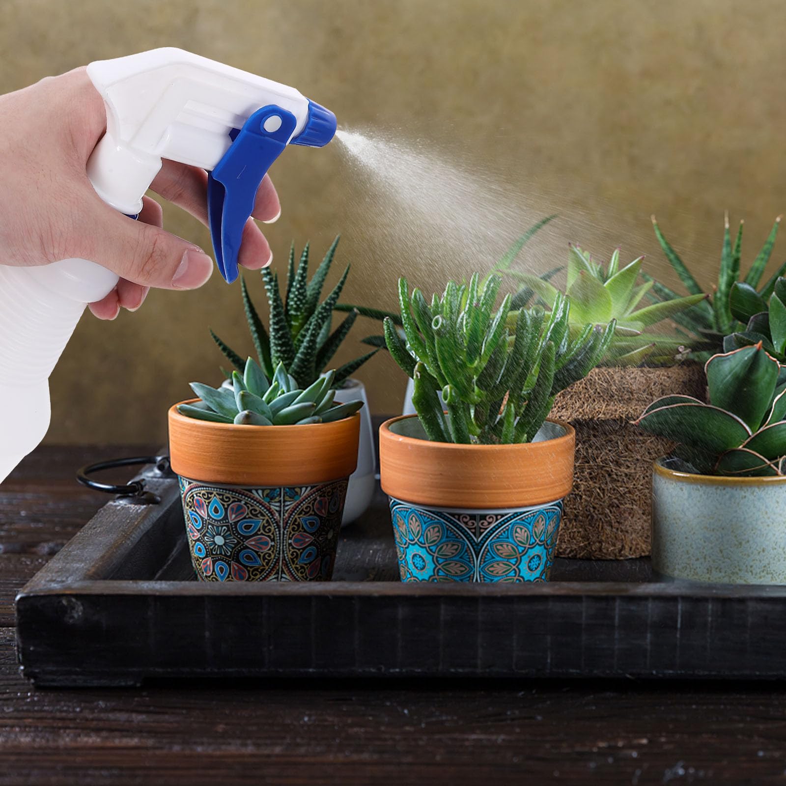 8 Botellas Pulverizadoras Pequeñas Fáciles de Transportar y Recargables Pe de Plástico de 750 Ml Boquilla Color Aleatorio para Riego de Jardinería Reutilizable