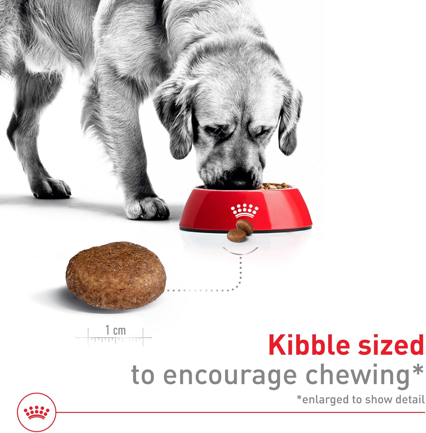 Royal Canin Size Health Nutrition Large 5+ Mature Dry Dog Food, 30 lb Bag - Image 3