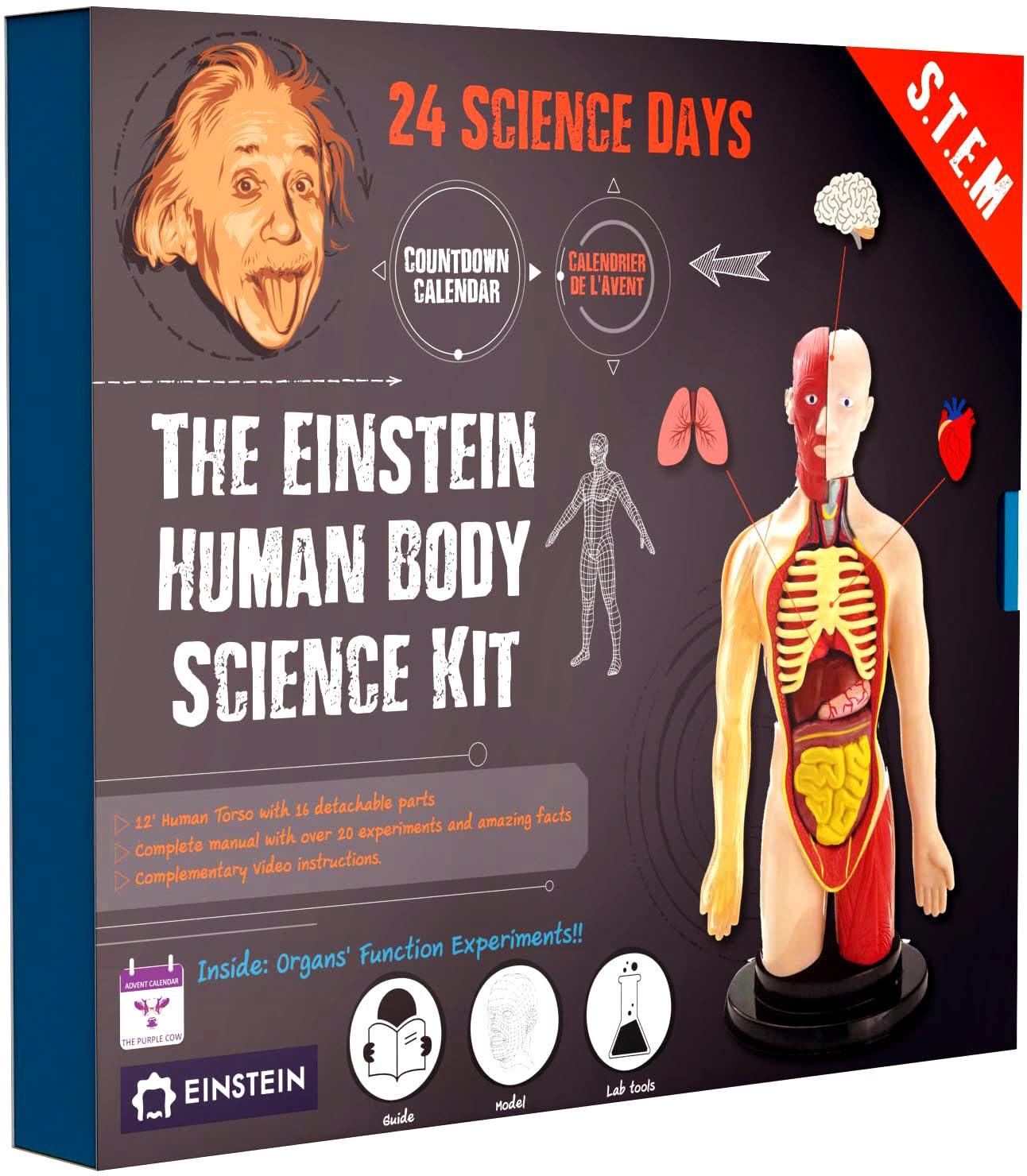 Einstein Human Body Science Kit : unique and original 24 S.T.E.M science experiments & activities all about the human body. Includes 12’ Human Model