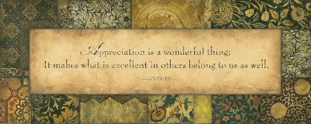 Voltaire 20x8 Inspirational Poster Pattern Art Print