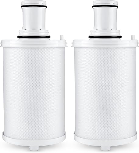 Repuesto de filtro 100186, compatible con Amway eSpring UV Purifier 100185, 100186, 100187, 100188, 100189, 110720, 118384, 2 unidades