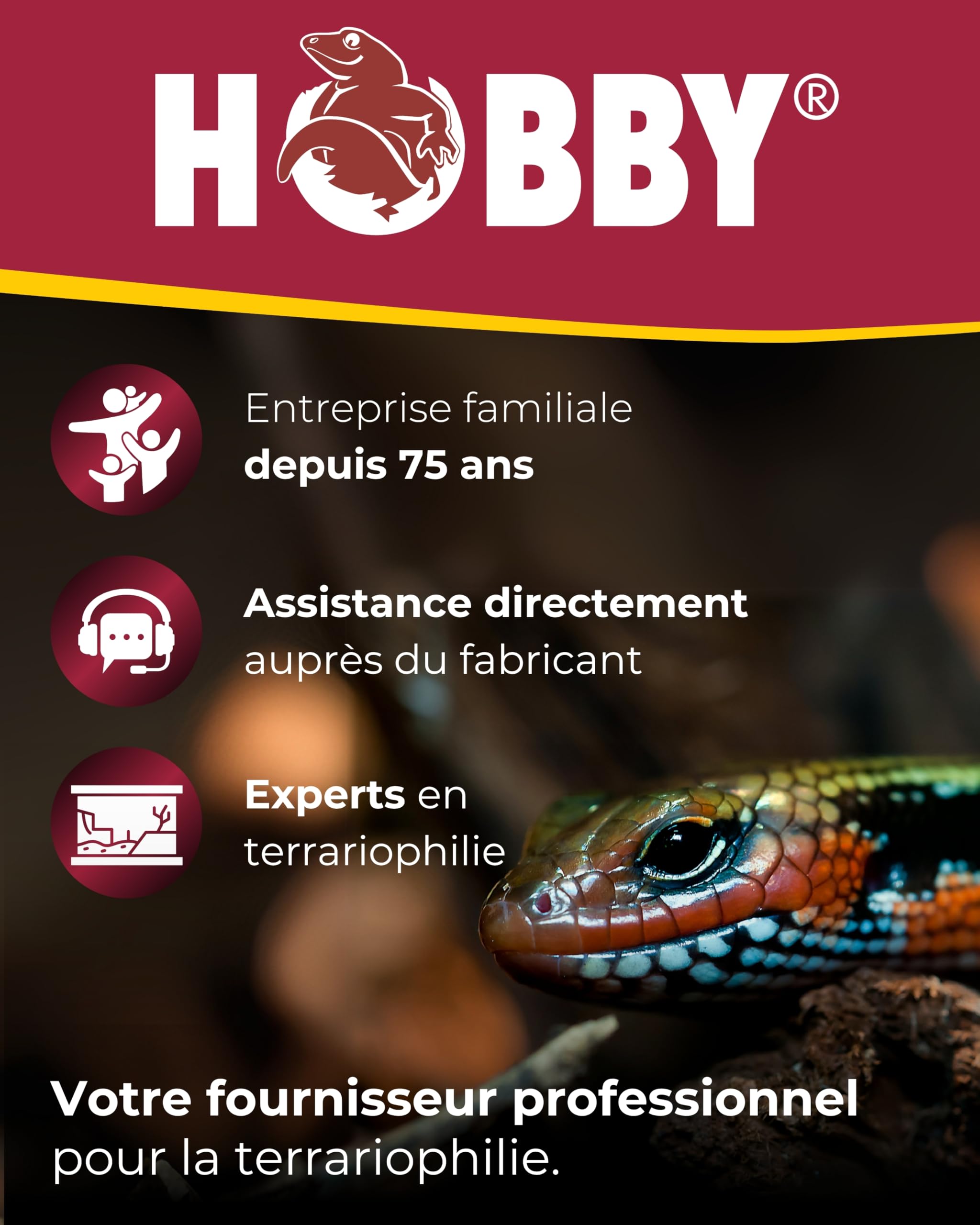 Hobby Terraristik Easy Rain Mini | Système d’arrosage automatique pour terrariums | Irrigation réglable pour reptiles, amphibiens et habitats végétaux